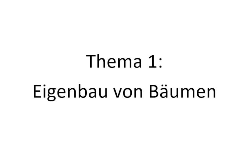 Besuch der tschechischen Partner in Bad Lobenstein